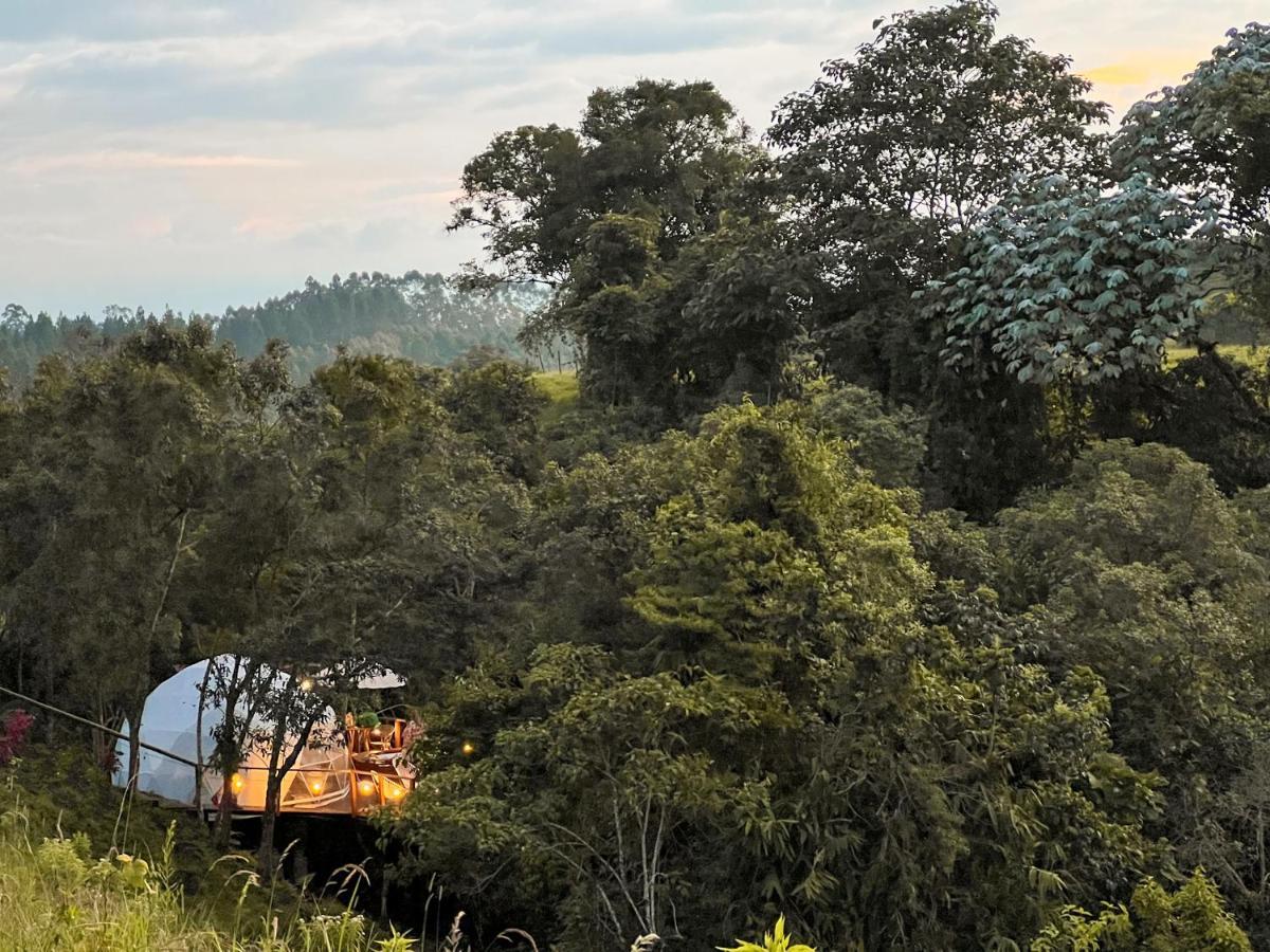 Solana Glamping Otel Pereira Dış mekan fotoğraf